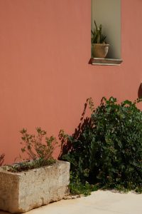 Petra Country House: conquista Instagram con il suo stile autentico e naturale