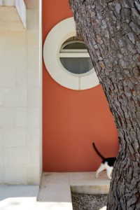 Petra Country House Invites You to Reconnect Through Authentic Travel